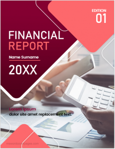 Financial report cover page