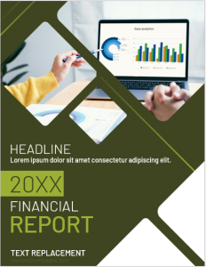 Financial report cover page