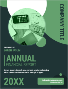 Company annual financial report cover page