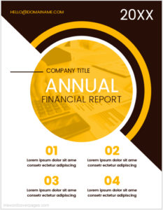 Company annual financial report cover page
