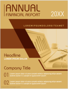 Company annual financial report cover page