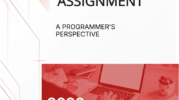 Computer Assignment Cover Page -EDIT
